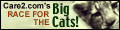 Click Here To Help Protect The Big Cats