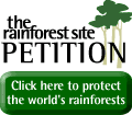 The Rainforest Site